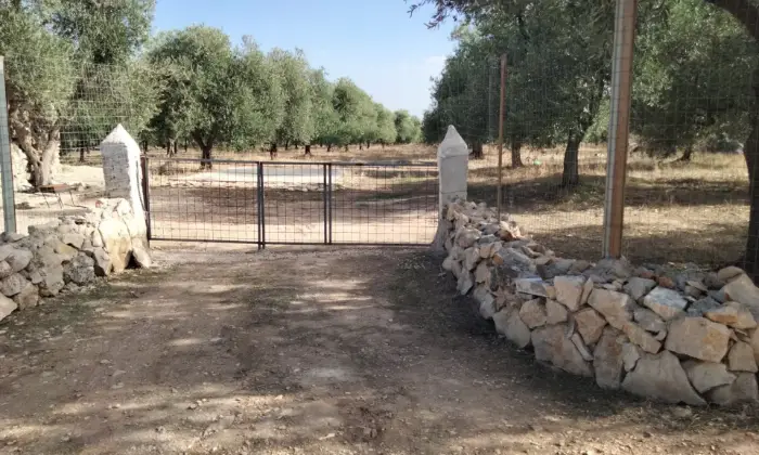 Rexer-Andria-VENDO-TRULLO-DI-MQ-SU-TERRENO-DI-MQ-Terrazzo