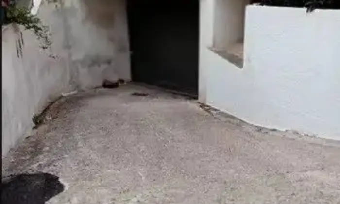 Rexer-Fasano-Locale-commerciale-in-vendita-in-Localit-Scanzossa-a-Fasano-Garage
