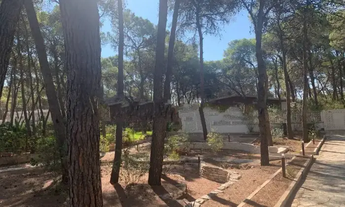 Rexer-Castellaneta-Vendesi-Villa-bifamiliare-via-Mare-Spumeggiante-Castellaneta-MarinaCastellaneta-Terrazzo
