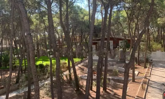Rexer-Castellaneta-Vendesi-Villa-bifamiliare-via-Mare-Spumeggiante-Castellaneta-MarinaCastellaneta-Terrazzo