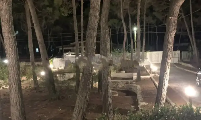 Rexer-Castellaneta-Vendesi-Villa-bifamiliare-via-Mare-Spumeggiante-Castellaneta-MarinaCastellaneta-Terrazzo