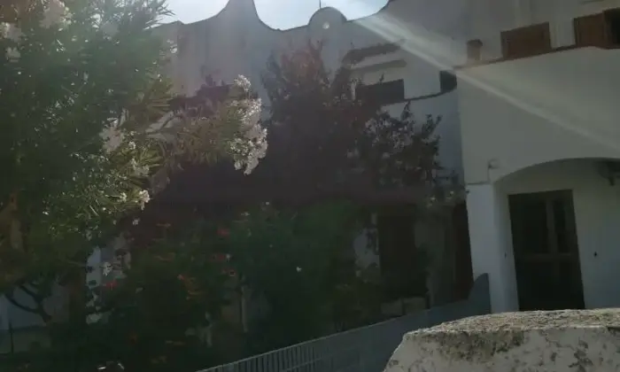 Rexer-Campomarino-Bilocale-via-Luigi-Einaudi-Lido-Campomarino-Campomarino-Giardino
