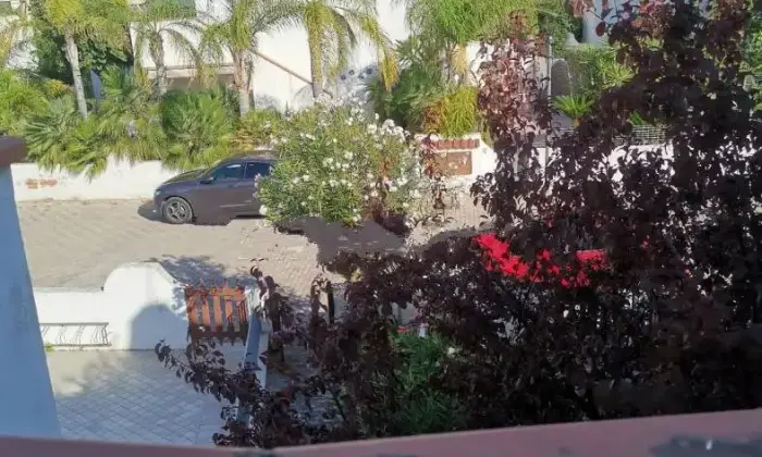 Rexer-Campomarino-Bilocale-via-Luigi-Einaudi-Lido-Campomarino-Campomarino-Terrazzo