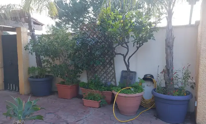 Rexer-Rometta-Marea-VILLA-INDIPENDENTE-CON-ACCESSO-AL-MARE-DIRETTO-e-RISERVATO-Esterno