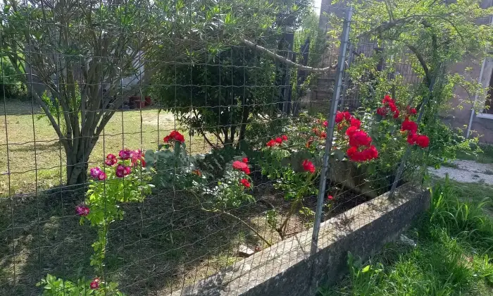 Rexer-San-Benedetto-Po-Casa-colonica-in-Strada-Argine-Zara-a-San-Benedetto-Po-Giardino