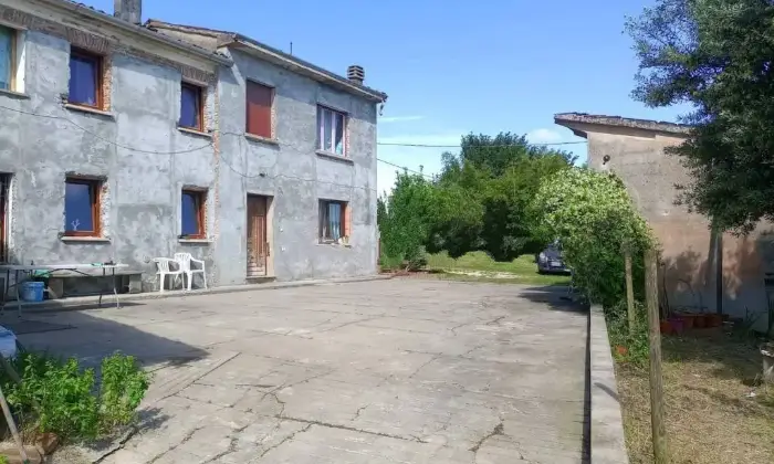Rexer-San-Benedetto-Po-Casa-colonica-in-Strada-Argine-Zara-a-San-Benedetto-Po-Giardino