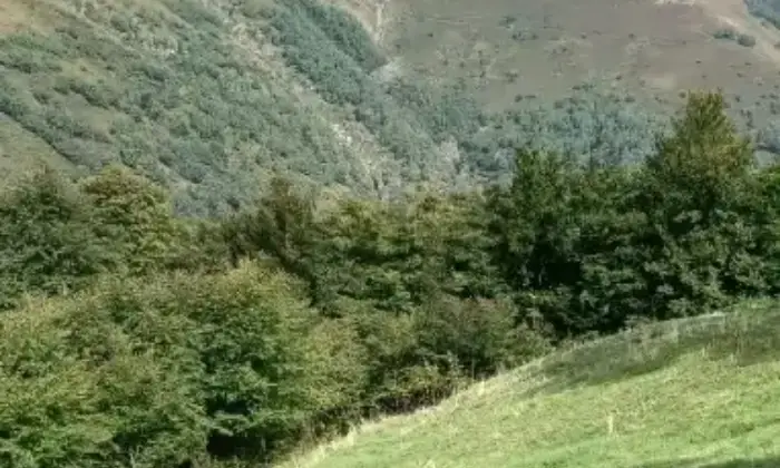 Rexer-Stazzona-Casalecascina-in-vendita-in-BasciarinoStazzona-Terrazzo