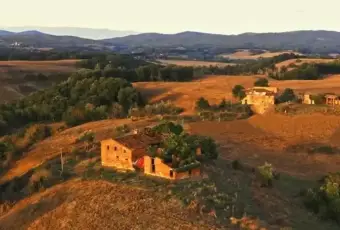 Rexer-Asciano-Vendesi-Propriet-rustica-in-vendita-in-strada-delle-Sante-MarieAsciano-Giardino