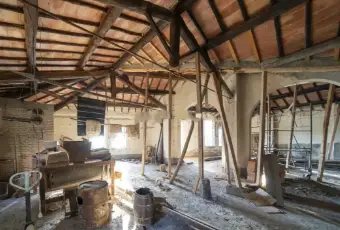 Rexer-Asciano-Vendesi-Propriet-rustica-in-vendita-in-strada-delle-Sante-MarieAsciano-Altro