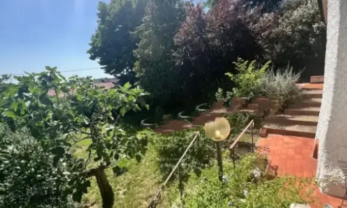 Rexer-Camaiore-Vendesi-villa-in-via-Pennelle-a-Capezzano-Pianore-di-Camaiore-Giardino