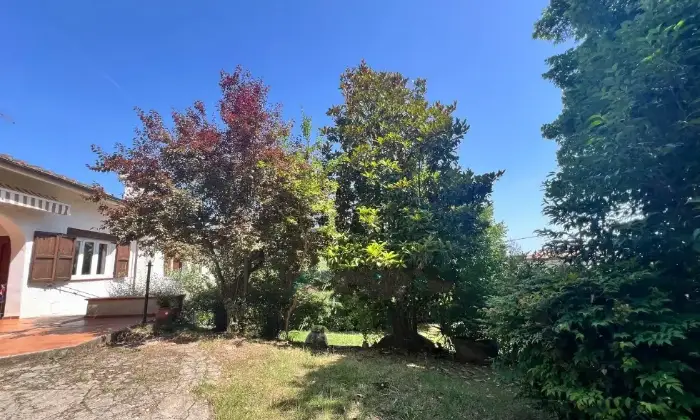 Rexer-Camaiore-Vendesi-villa-in-via-Pennelle-a-Capezzano-Pianore-di-Camaiore-Giardino
