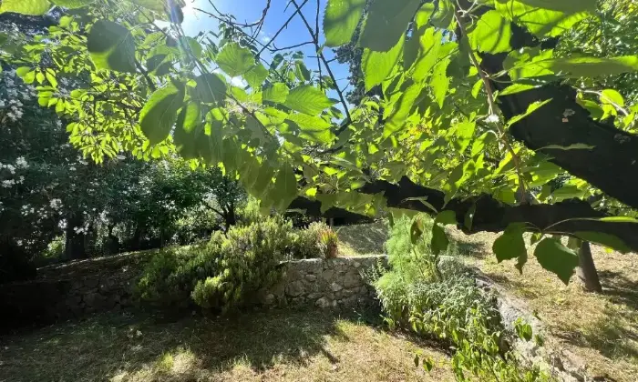Rexer-Camaiore-Vendesi-villa-in-via-Pennelle-a-Capezzano-Pianore-di-Camaiore-Giardino