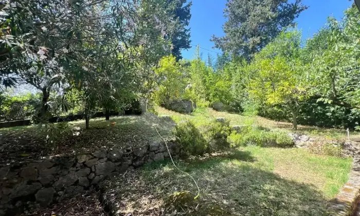 Rexer-Camaiore-Vendesi-villa-in-via-Pennelle-a-Capezzano-Pianore-di-Camaiore-Giardino