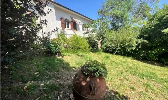 Rexer-Camaiore-Vendesi-villa-in-via-Pennelle-a-Capezzano-Pianore-di-Camaiore-Giardino