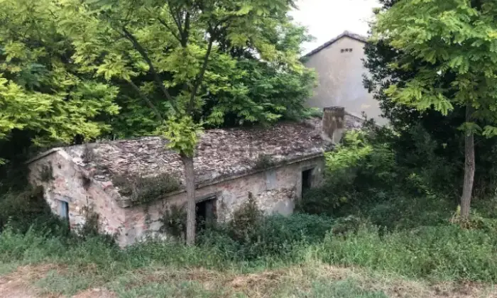 Rexer-Montesilvano-Rustico-Casale-in-Contrada-Fonte-DOlmo-Montesilvano-Giardino