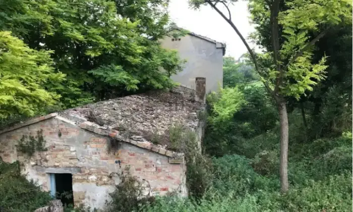 Rexer-Montesilvano-Rustico-Casale-in-Contrada-Fonte-DOlmo-Montesilvano-Giardino