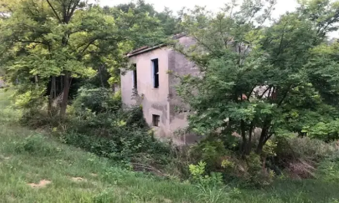 Rexer-Montesilvano-Rustico-Casale-in-Contrada-Fonte-DOlmo-Montesilvano-Giardino