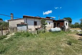 Rexer-Altomonte-Villetta-con-terreno-agricolo-Altomonte-CS-Terrazzo