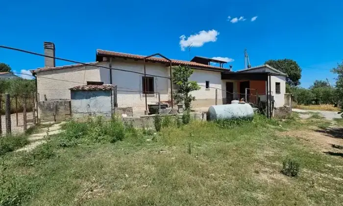 Rexer-Altomonte-Villetta-con-terreno-agricolo-Altomonte-CS-Terrazzo