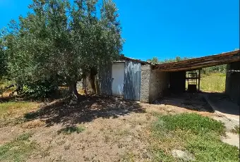 Rexer-Altomonte-Villetta-con-terreno-agricolo-Altomonte-CS-Giardino
