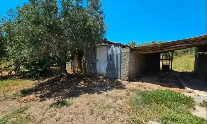 Rexer-Altomonte-Villetta-con-terreno-agricolo-Altomonte-CS-Giardino