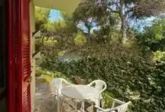 Rexer-Rosignano-Marittimo-Vendesi-appartamento-in-via-Oglio-Rosignano-Marittimo-Terrazzo