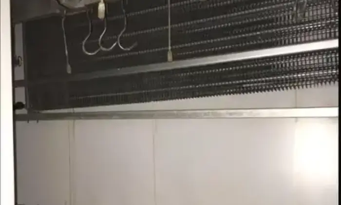 Rexer-Foggia-Locale-commerciale-in-Foggia-centro-Altro