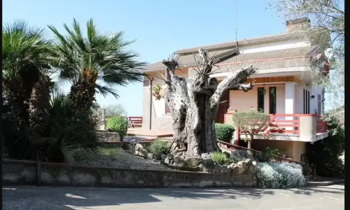 Rexer-Torre-Le-Nocelle-Villa-in-vendita-in-via-Cefalo-Grifi-Torre-le-Nocelle-Giardino