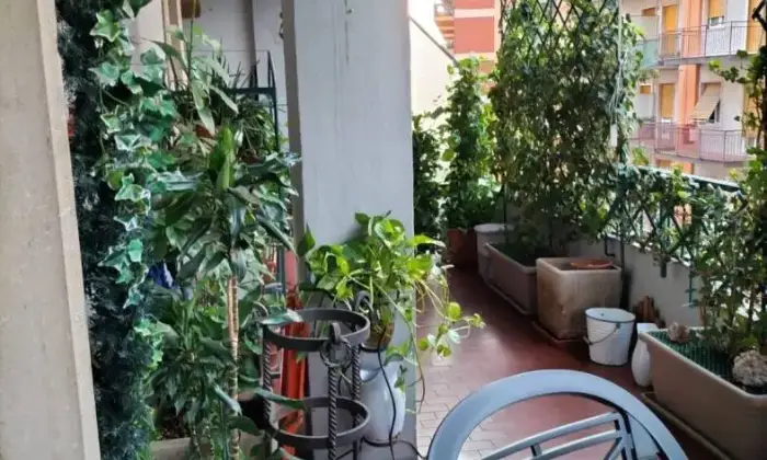 Rexer-Verona-Appartamento-in-vendita-in-via-Antoniotto-Usodimare-a-Verona-Giardino