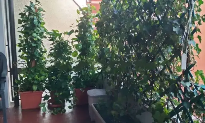 Rexer-Verona-Appartamento-in-vendita-in-via-Antoniotto-Usodimare-a-Verona-Terrazzo