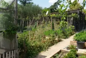 Rexer-Lucera-Vendesi-villa-Strada-Provinciale-LuceraMonte-Cal-a-Lucera-Giardino