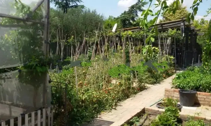 Rexer-Lucera-Vendesi-villa-Strada-Provinciale-LuceraMonte-Cal-a-Lucera-Giardino