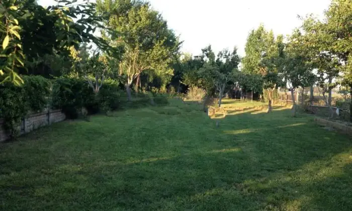 Rexer-Lucera-Vendesi-villa-Strada-Provinciale-LuceraMonte-Cal-a-Lucera-Giardino