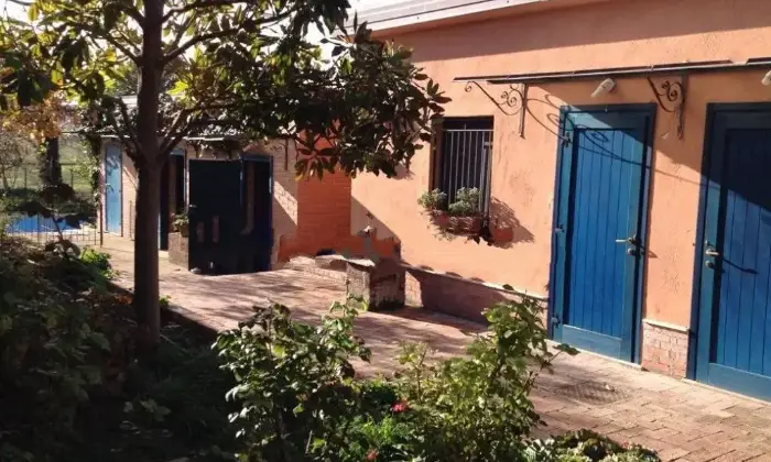 Rexer-Lucera-Vendesi-villa-Strada-Provinciale-LuceraMonte-Cal-a-Lucera-Giardino