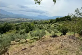 Rexer-Viggianello-Terreno-con-casa-in-vendita-in-frazione-Santoianni-Viggianello-Terrazzo