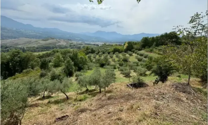 Rexer-Viggianello-Terreno-con-casa-in-vendita-in-frazione-Santoianni-Viggianello-Terrazzo