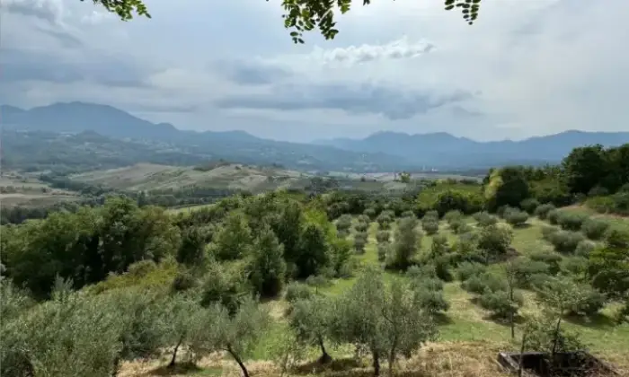 Rexer-Viggianello-Terreno-con-casa-in-vendita-in-frazione-Santoianni-Viggianello-Terrazzo