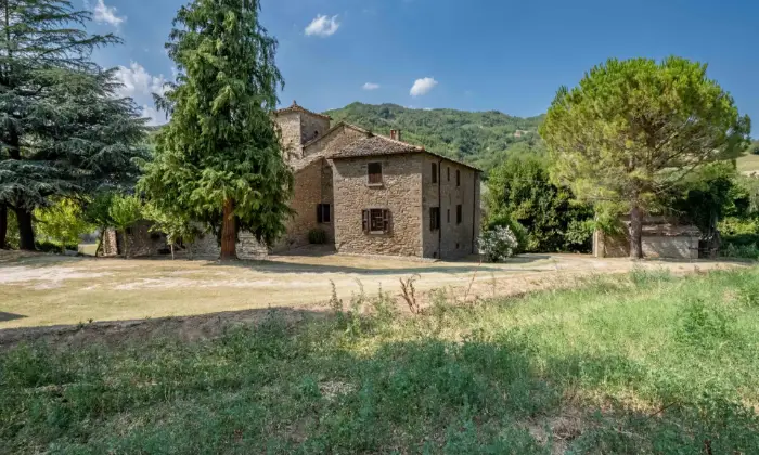 Rexer-Predappio-Una-tenuta-abitazioni-a-Predappio-FACCIATA