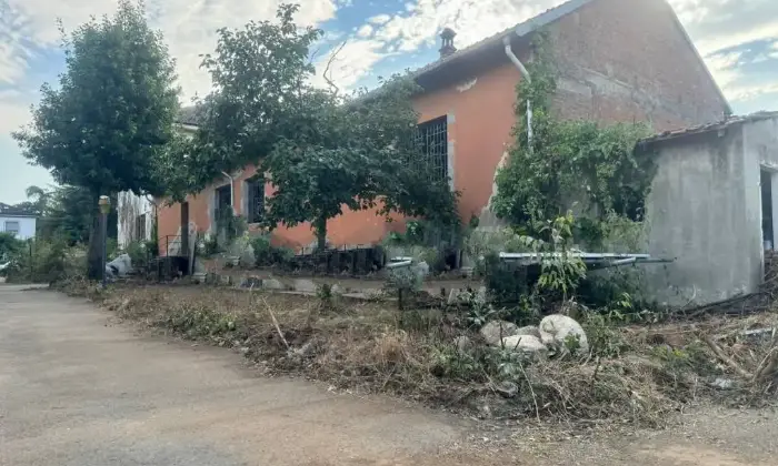 Rexer-Alessandria-Terratetto-unifamiliare-via-Pineroli-Spinetta-Marengo-Alessandria-Giardino
