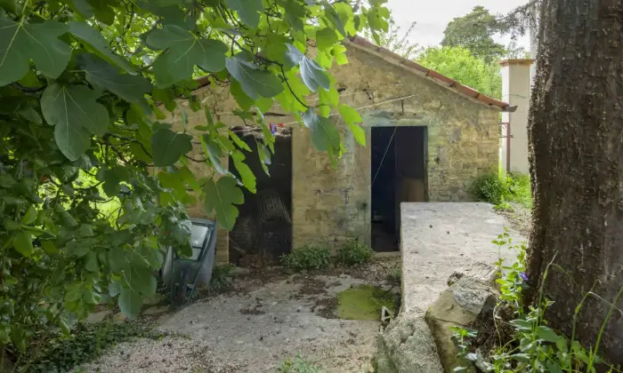 Rexer-gubbio-Propriet-rustica-in-vendita-in-via-del-Poderaccio-a-Gubbio-Altro