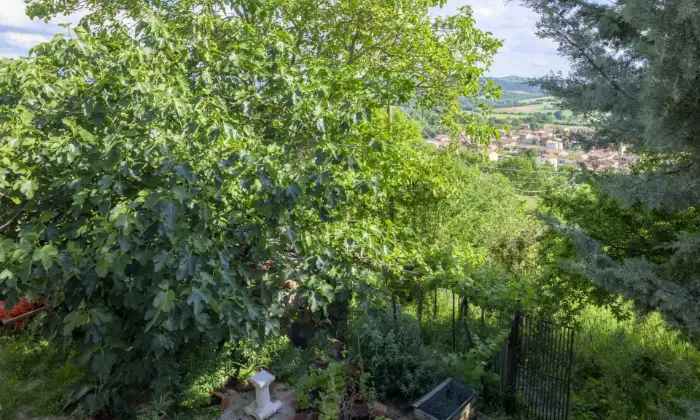 Rexer-gubbio-Propriet-rustica-in-vendita-in-via-del-Poderaccio-a-Gubbio-Altro