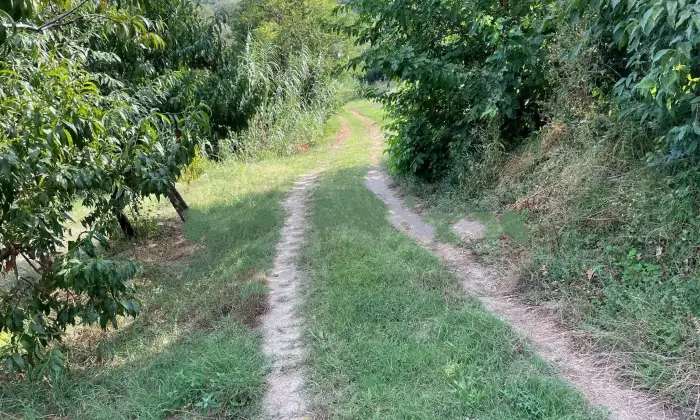 Rexer-Nizza-Monferrato-Cascina-in-vendita-in-Strada-Bricco-a-Nizza-Monferrato-Terrazzo