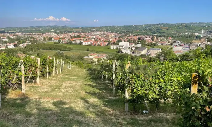 Rexer-Nizza-Monferrato-Cascina-in-vendita-in-Strada-Bricco-a-Nizza-Monferrato-Terrazzo