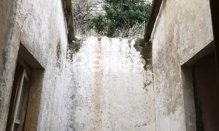 Rexer-Bitti-Vendiamo-casa-indipendente-Altro