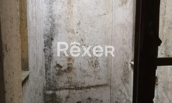 Rexer-Bitti-Vendiamo-casa-indipendente-Altro