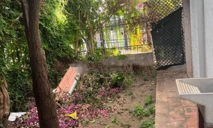 Rexer-Diamante-Vendesi-appartamento-in-Via-Pastani-a-Diamante-Giardino