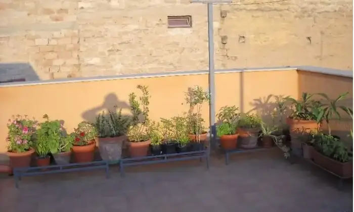 Rexer-Carini-Appartamento-in-vendita-in-via-Trento-a-Carini-Terrazzo