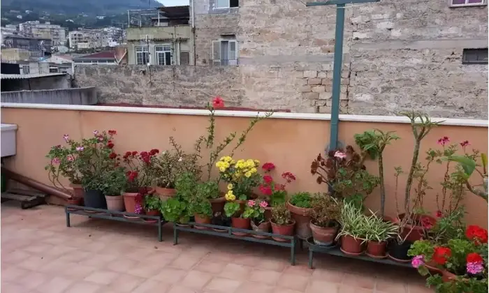 Rexer-Carini-Appartamento-in-vendita-in-via-Trento-a-Carini-Terrazzo
