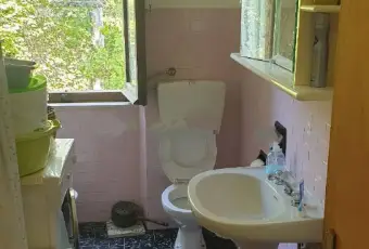 Rexer-Force-Vendesi-Casale-Contrada-Santa-Lucia-a-Force-Bagno