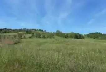 Rexer-Teramo-Terreno-agricolo-con-rustico-in-vendita-a-Teramo-ALTRO